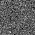 2024vfp_image
