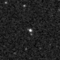 2024vgl_image