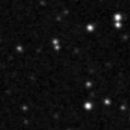 2024vig_image