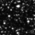 2024vly_image