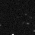 2024vni_image