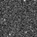 2024vqc_image