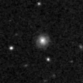 2024vxl_image