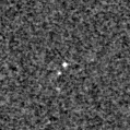 2024wam_image
