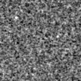 2024wbg_image