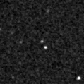 2024wbt_image