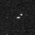 2024wdi_image