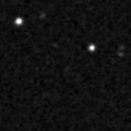 2024wdq_image