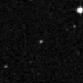 2024wdx_image