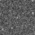 2024wev_image