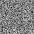 2024wfb_image