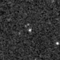 2024wfj_image