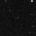 2024wfm_image