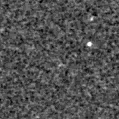 2024wfq_image
