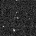2024wfw_image