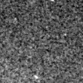 2024wgb_image