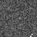 2024wge_image