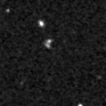 2024wgj_image