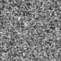 2024wha_image