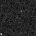 2024whj_image