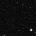 2024whw_image