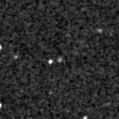 2024wjo_image