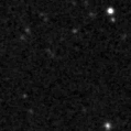2024wjt_image