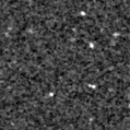 2024wjx_image