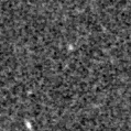 2024wkc_image
