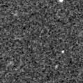 2024wkh_image