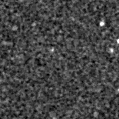 2024wla_image