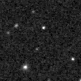 2024wlg_image