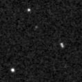 2024wlt_image