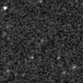 2024wlv_image