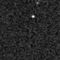 2024wnm_image