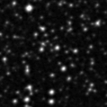2024woz_image
