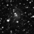 2024wri_image