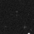 2024wrm_image