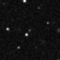 2024wsk_image