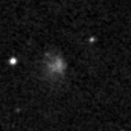 2024wsr_image