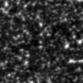 2024wtl_image