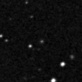 2024wvg_image