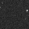 2024wvs_image