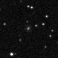 2024wvv_image