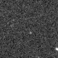 2024wwl_image