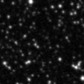 2024wwu_image