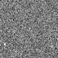 2024wwv_image