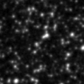 2024wyb_image