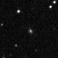 2024wzm_image