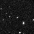 2024wzp_image